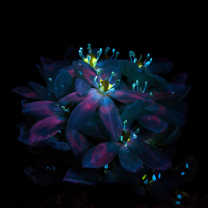 边挨草边给老公打电话
